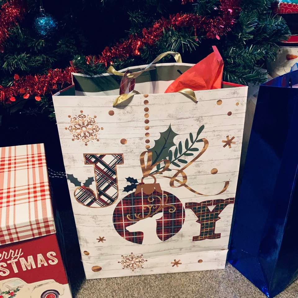 This bag of Joy holds all of my neighbor Christmas gift ideas this year. A little bit of everything with pickles, preserves, and seeds from David's Garden Seeds® plus a lot more.