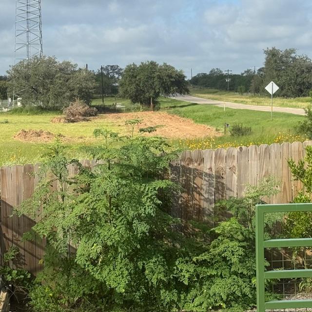 Our moringa tree in the foreground. Where digging starts, our property ends.