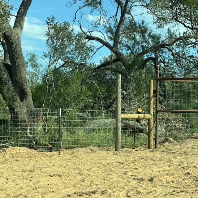This is where our new fence meets the new neighbor fence. Ours is 4 feet tall and theirs is 8 feet tall. The fence they tore down was 4 feet tall.