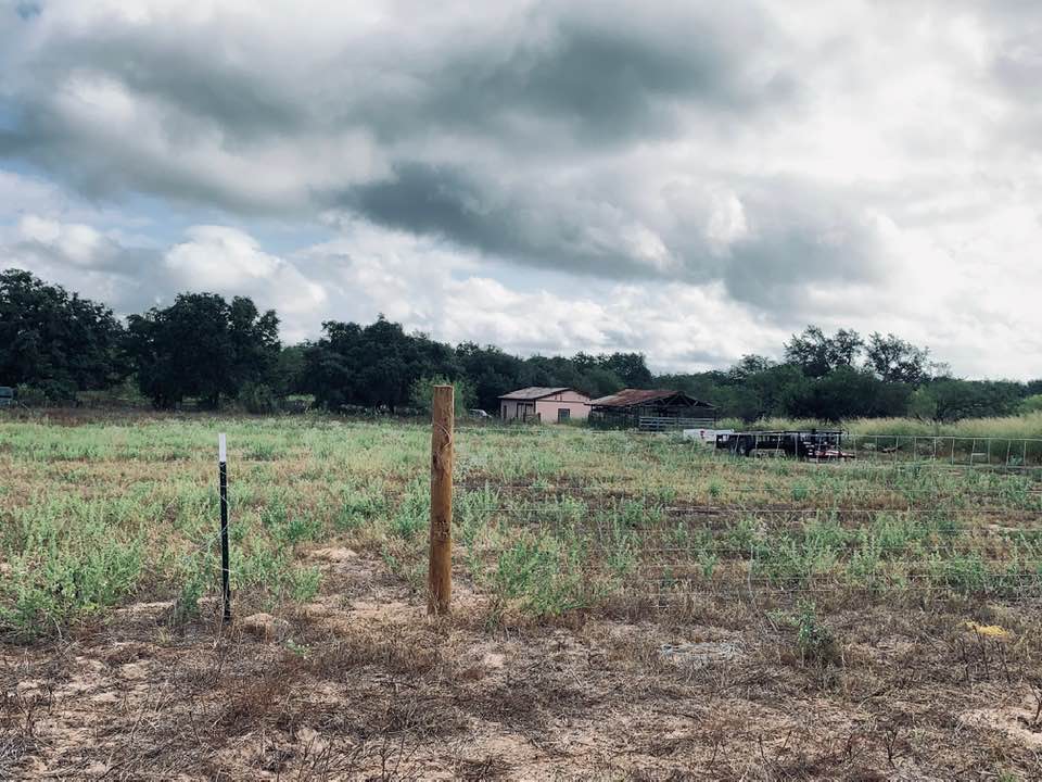 New fencing with T posts has begun.