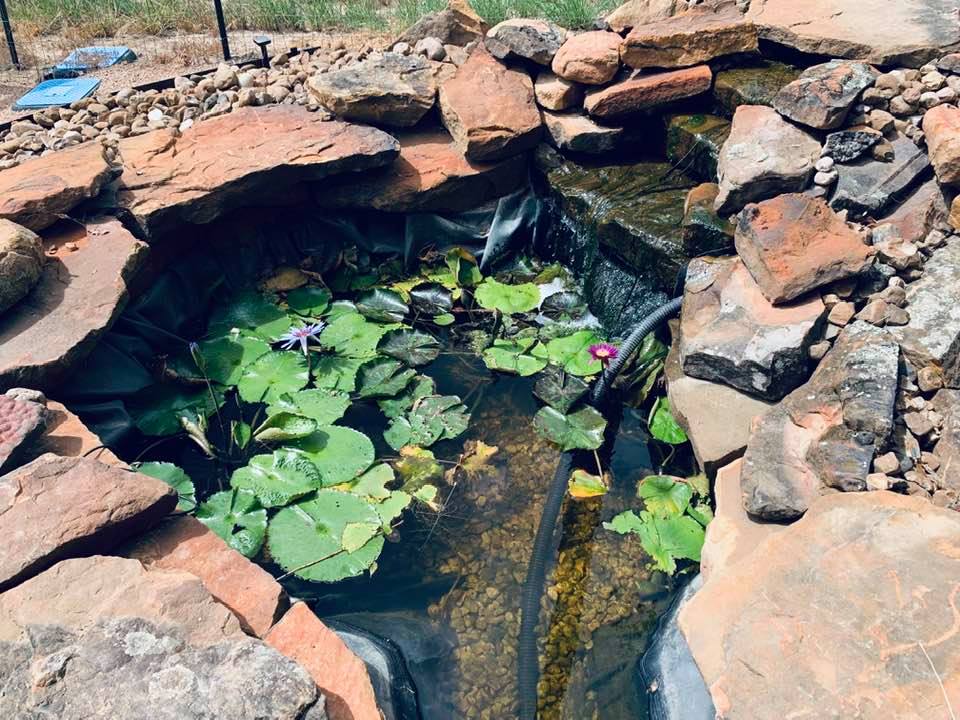 "Are there garden seeds near me?", you may ask. Yes, and a pond with fish. Come visit the farm soon. "Are there garden seeds near me?", you may ask. Yes, and a pond with fish. Come visit the farm soon.