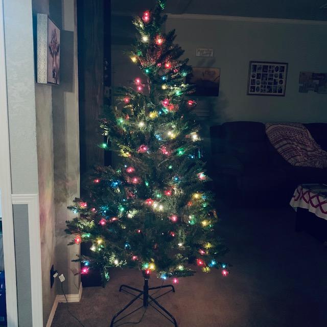 I will be flocking this tree. It was the last one in Tractor Supply and had no box. They gave it to us at 50% off. I will be flocking this tree. It was the last one in Tractor Supply and had no box. They gave it to us at 50% off.