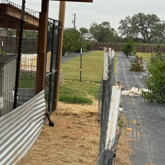 This is where Norton busted through a double fence to get to the girls.