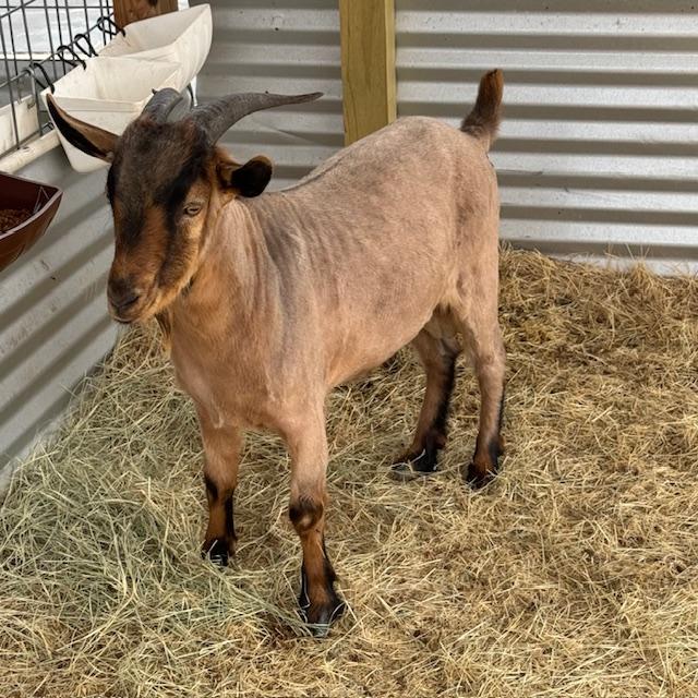 Norton is a brand new man and now he is cool.