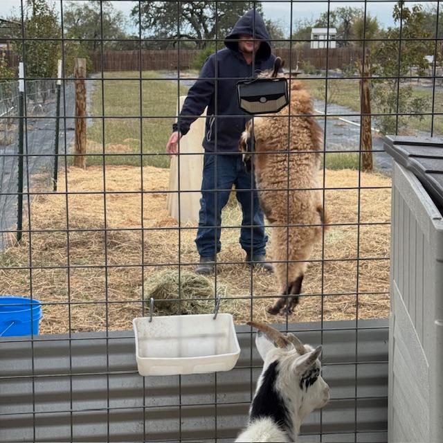 Norton on his hind feet with Matt. Trixie is watching in the foreground.