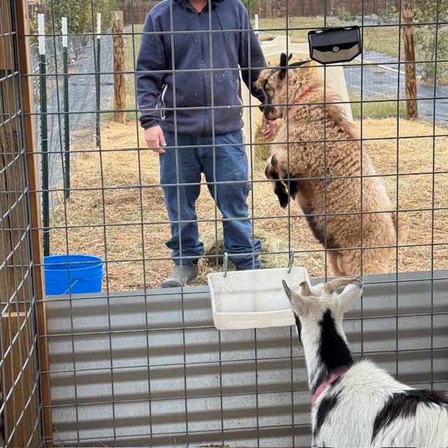 I had never seen Norton stand on his hind legs before but he enjoyed showing off for Matt.