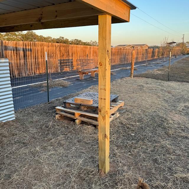 Matt built Norton a platform in his yard for jumping.