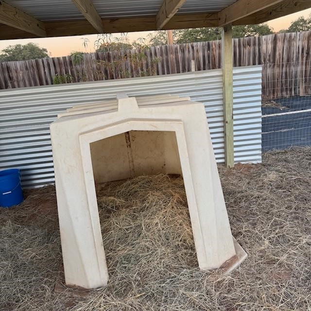 We moved his sleeping shelter under the roof for added warmth and so he can stay nice and dry for the colder months.