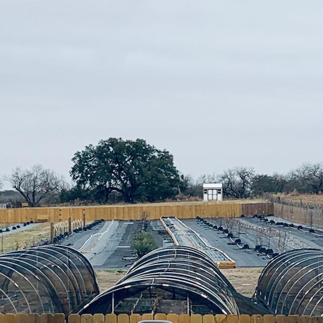 Obviously, the sun came up but we did not get to see it due to the thick layer of clouds that enveloped us this morning.