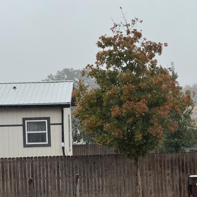 Some of our oak leaves are turning colors, getting ready to fall off. Others are still green.