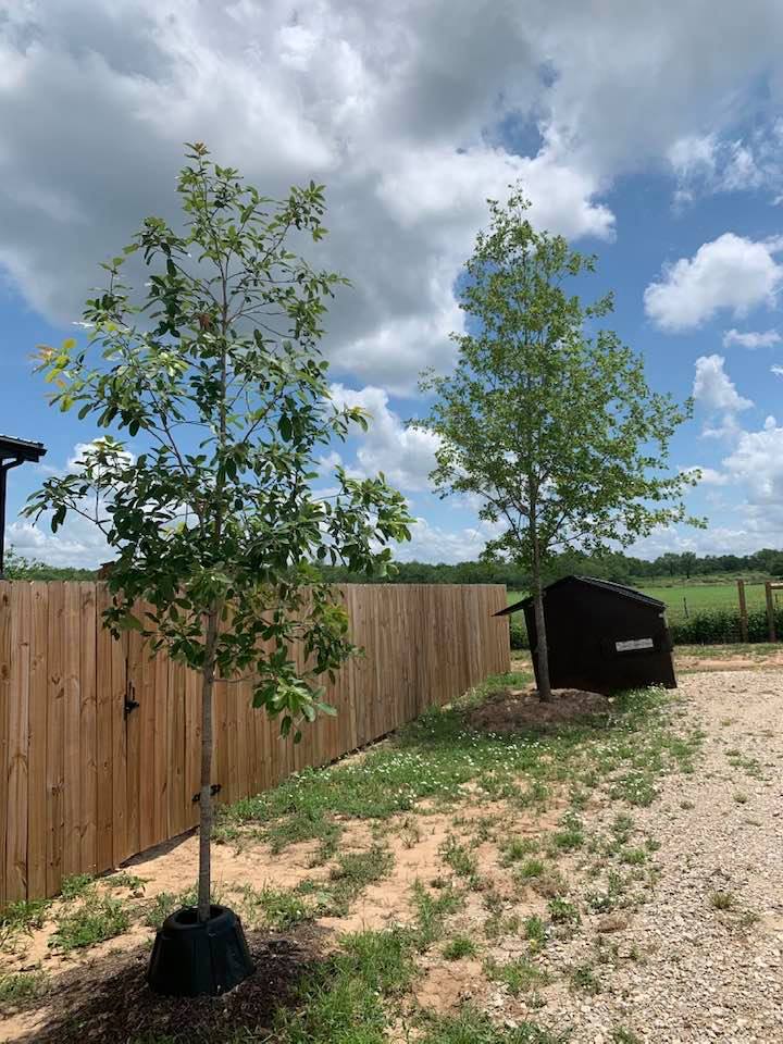 Today seems to be a beautiful day as we wait to see if more rain will come. Thankfully, the weatherman was wrong about rain last night. Today seems to be a beautiful day as we wait to see if more rain will come. Thankfully, the weatherman was wrong about rain last night.
