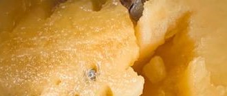 Light orange, sweet flesh. My first time to grow an orange watermelon.