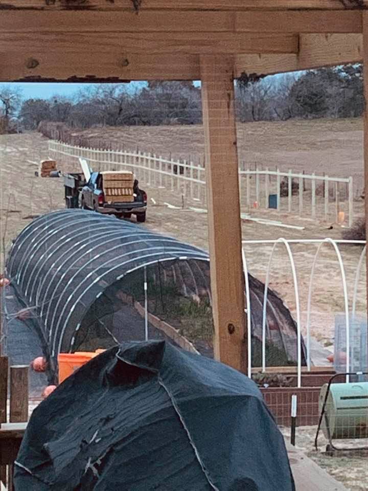 As you can see, we are having a picket fence put up to block the orchard from the deer in the neighborhood.