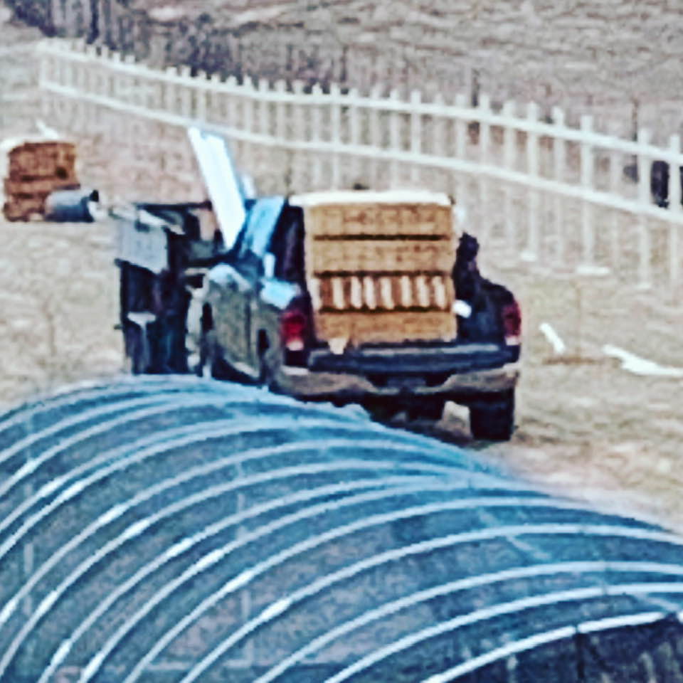 A closeup of the orchard fence. Right now, we are doing one wall. Pickets will go up tomorrow.