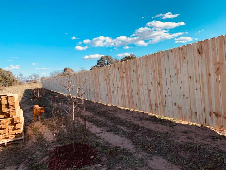 The fence goes the length of the orchard, with only half of the pickets put up.