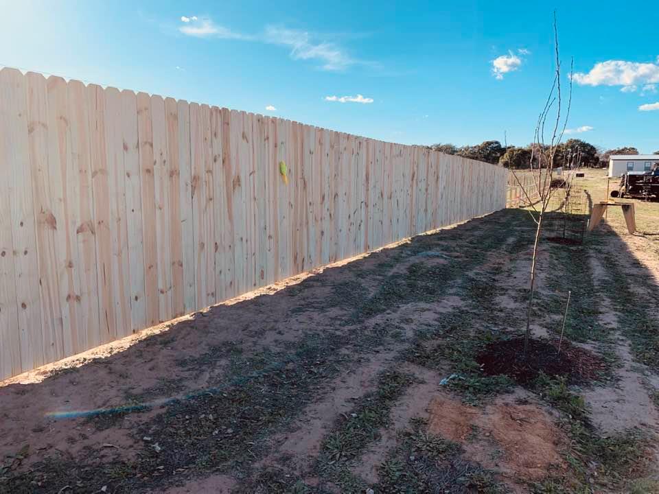 The same wall facing toward the road. I hate that it is making a shadow on the orchard's first row of fruit trees.