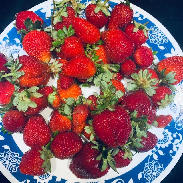 These berries are from our garden out back in the orchard.