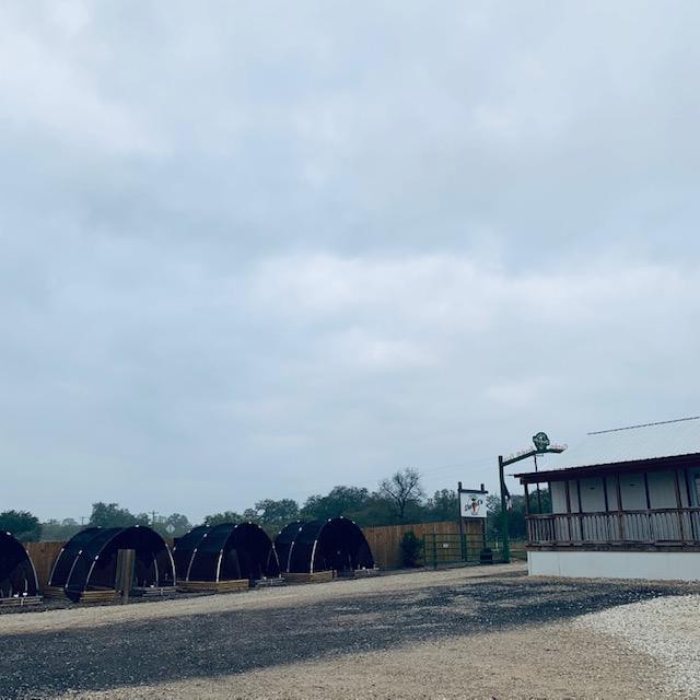 An overcast sky greeted us this morning. But no rain and we have 82° and blue skies today.