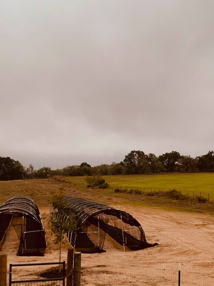Some of our hoop houses and the meadow next door under grey skies on January 2, 2020.
