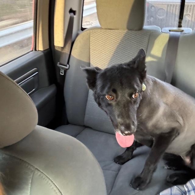 Pamela looks pretty and much cooler for summer with her new haircut.