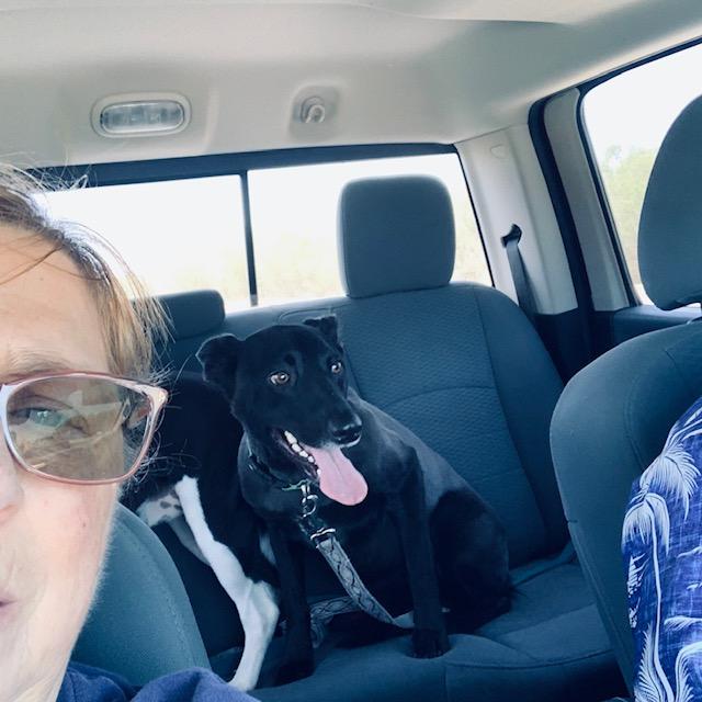 Pamela likes her haircut but she is thirsty. They were at the groomers for almost four hours. It normally doesn't take that long.