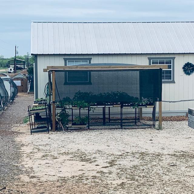 Our plants are now in the parking lot for the customers' convenience.