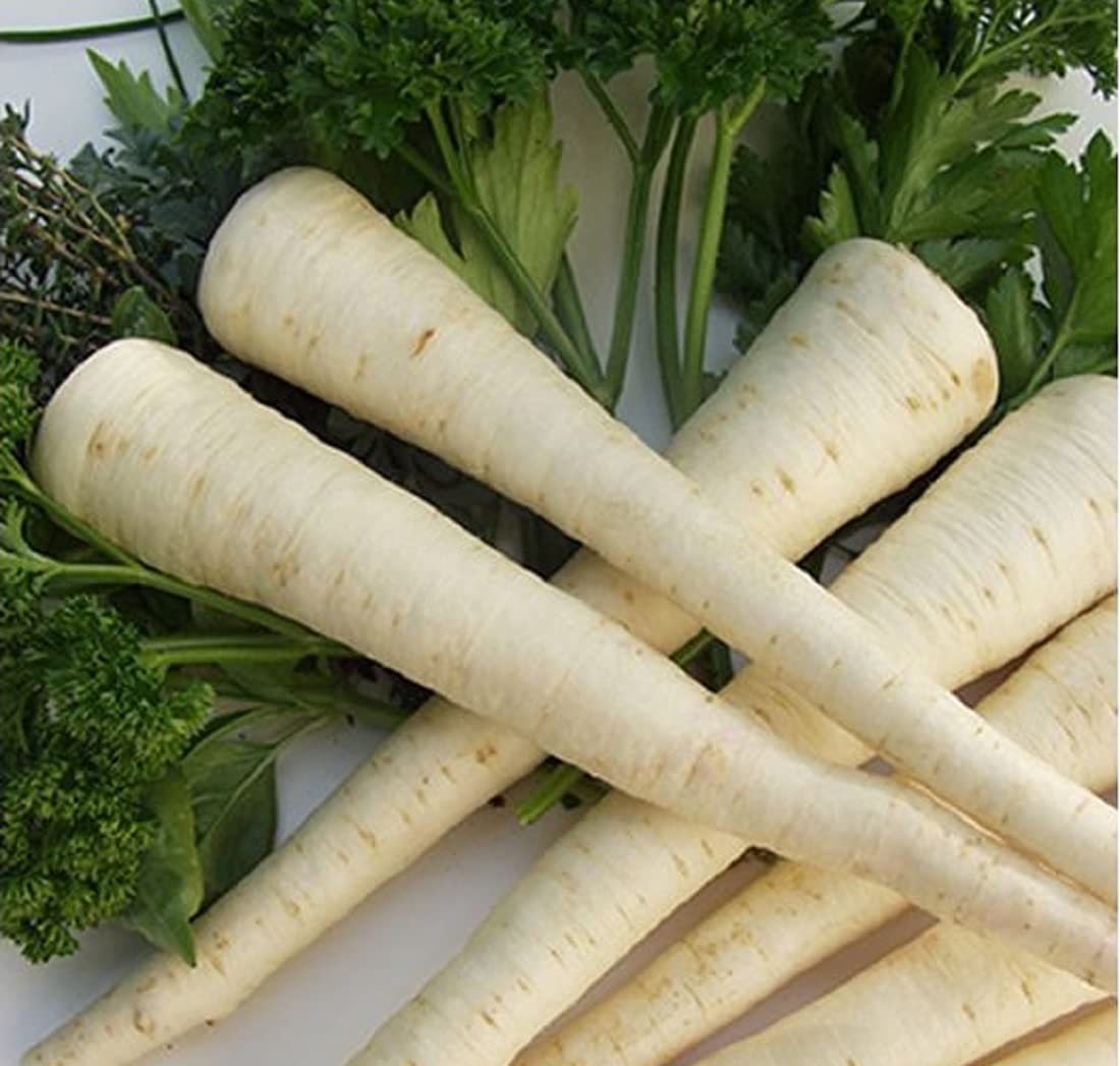 This is Hamberg Parsley. Planting herbs is an exciting part of any kitchen garden.