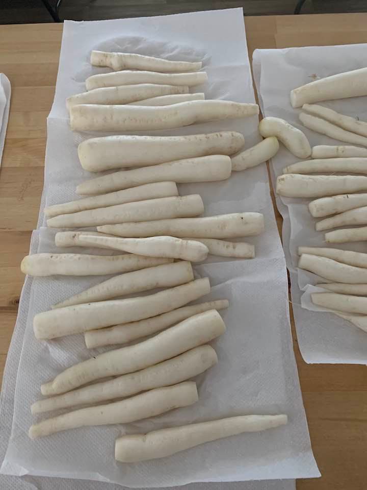 These parsnips are root vegetables that were cleaned and cut before I could get a photo but they did come from our garden. These parsnips are root vegetables that were cleaned and cut before I could get a photo but they did come from our garden.