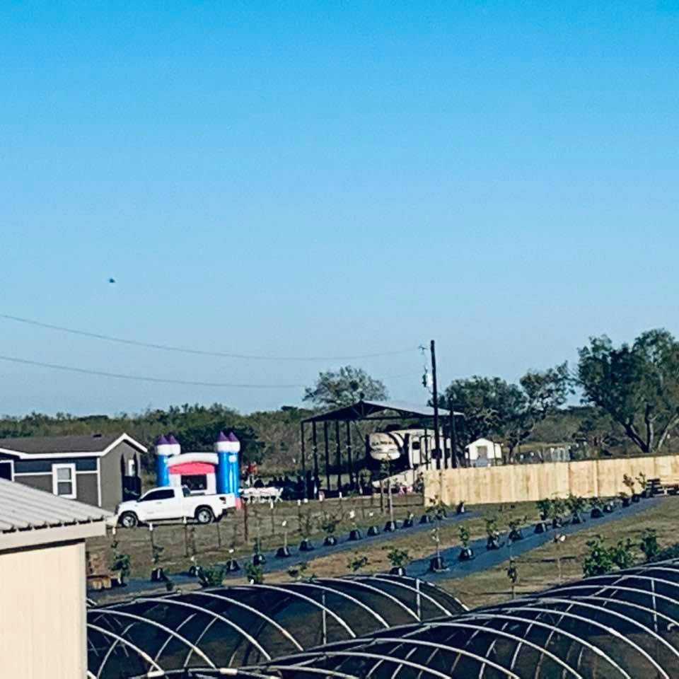You can see the bounce castle, party table and even a pony next to our farm. I was too ill to go next door but the tamales they sent us were delicious!