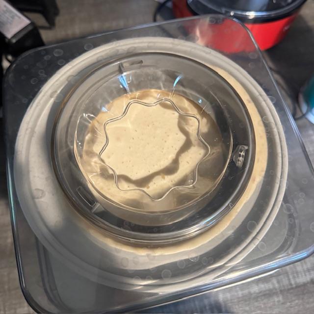 I pulled out the old ice cream maker and made peach ice cream. So yummy! I don't think I've made ice cream in a year.