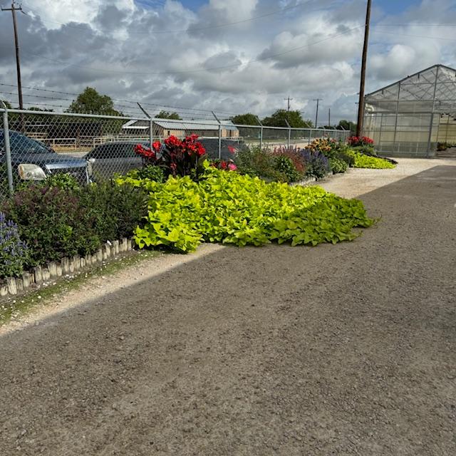 Peterson Nursery is a wholesale garden center that you can order from but you can't go in and shop yourself. Peterson Nursery is a wholesale garden center that you can order from but you can't go in and shop yourself.