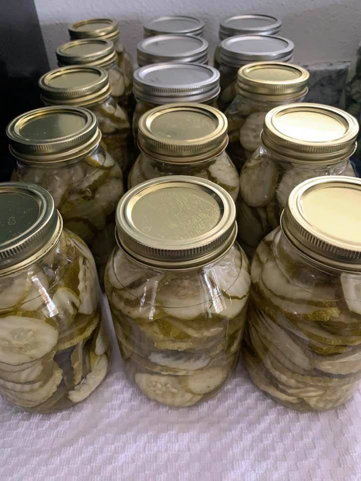 We made pickles! Who doesn't love homemade pickles that you make from your garden cucumbers?