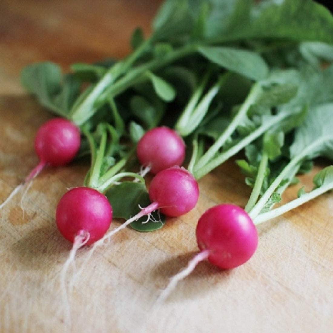 Grow small, sweet radishes like the Pink Beauty.