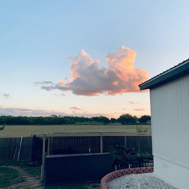 Look at this pretty pink cloud over my planting area!