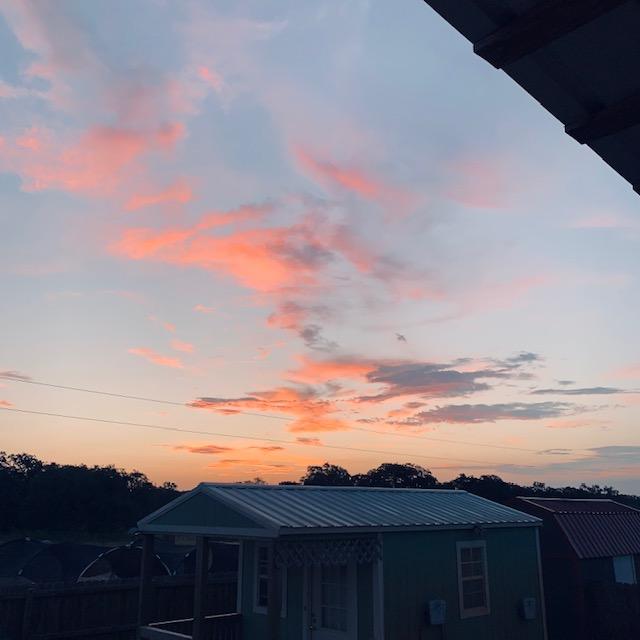 Here comes the sun over the green shed shack, our first farm home.