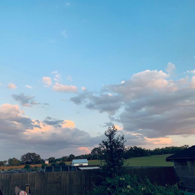 Our "back forty" showing hoophouses, orchard, chicken coop and so much more. No planting onions today. It is way too hot and humid in the 90s.