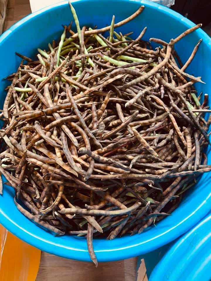 Pink eye purple hull southern peas that our people picked.