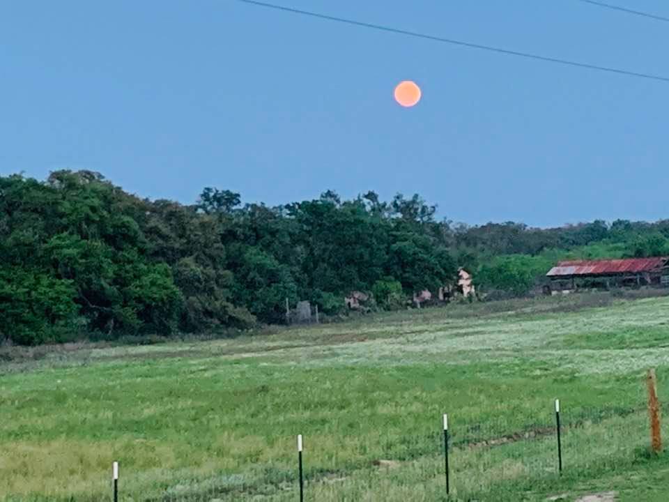 Here is the full pink moon from April of 2024 coming up over our farm.