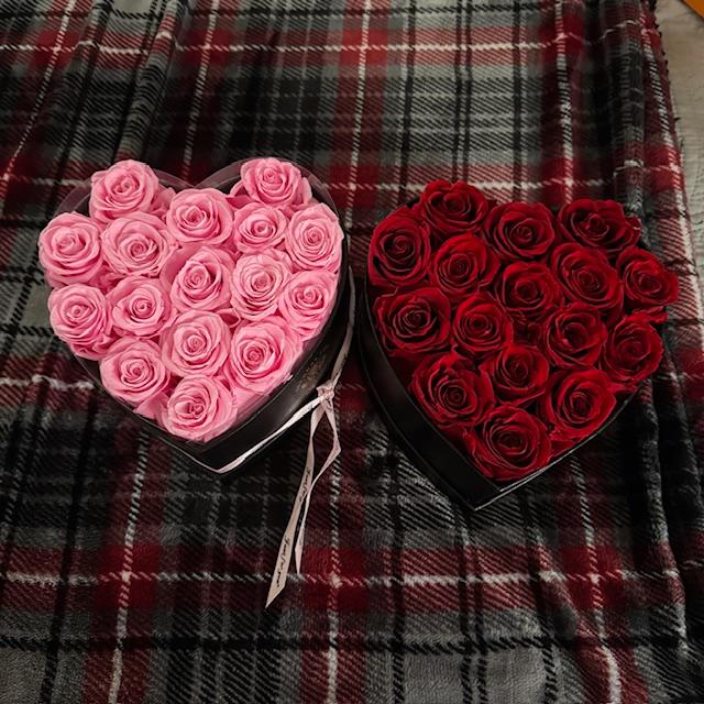 pinkredrosespreserved pinkredrosespreserved