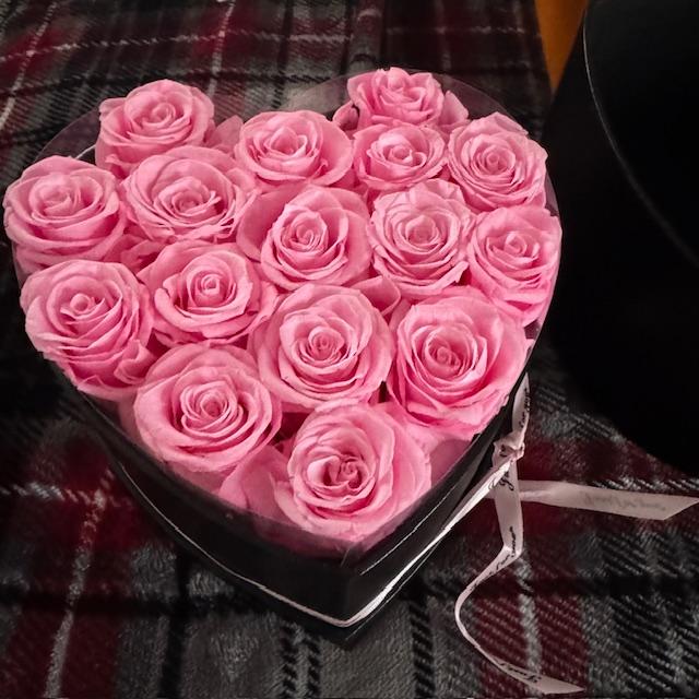 pinkrosespreserved pinkrosespreserved