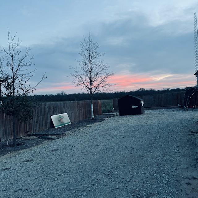 See the pretty pink in the sky? I just love that and I don't see it often in the evenings.