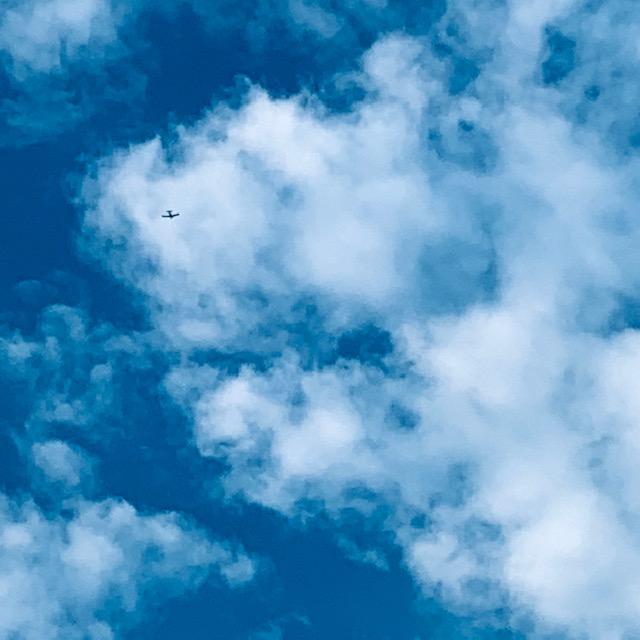 A single engine plane flew overhead while we were out in the orchard this morning. It was a perfect morning for it.