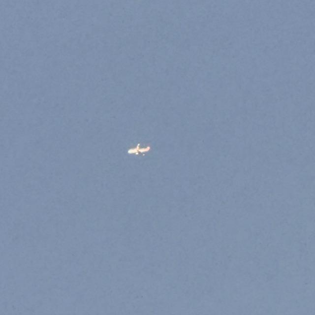 This plane was going overhead while I was taking care of the goats tonight.