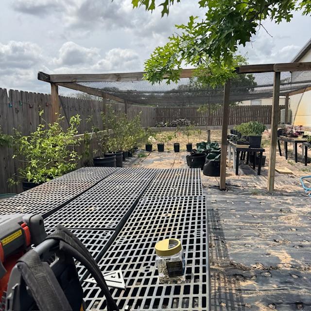 All of the trees and plants were moved. The shelving in the forefront has been put in the greenhouse and elsewhere.
