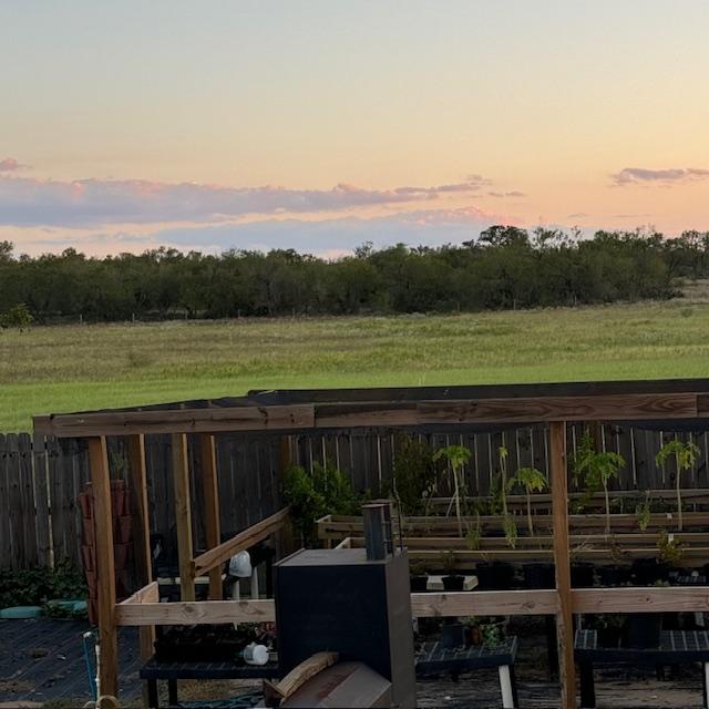 My plant area from the back deck.