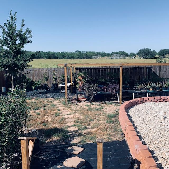 Right here is where they found the rattlesnake. I am beyond terrified. I walked out in the field by myself this morning to check on my potatoes and sweet potatoes.