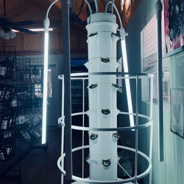 This is the grow tower in the Farm Store and it is now fully planted in Encore mixed lettuce seeds.