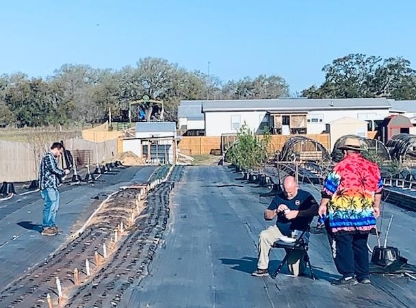 Matt, Aaron, and David are planting cucumber seeds this morning.