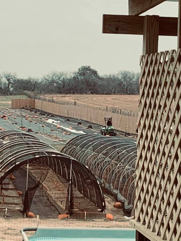 Phil and Stephen are out in the field planting our orchard trees today.