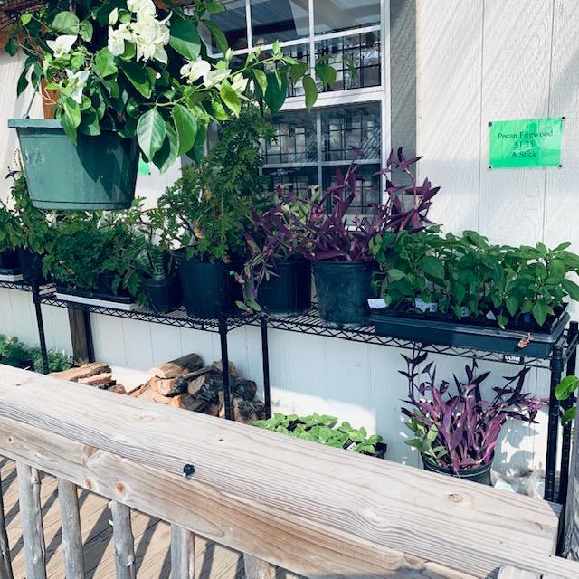 We have lots of plants for sale as well as seeds and food items. We even have pecan firewood for sale.